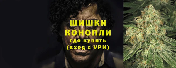 шишки Пенза