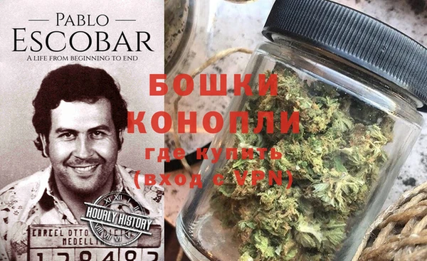 трава Киров