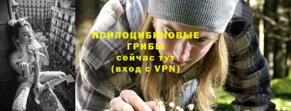 шишки Пенза