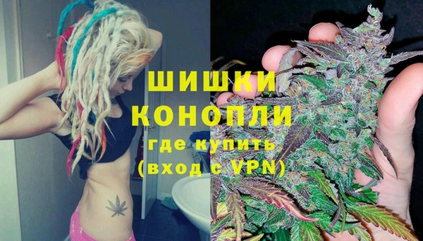 шишки Пенза