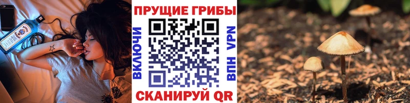 Псилоцибиновые грибы мицелий  Абинск 