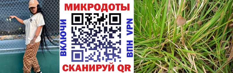 Псилоцибиновые грибы Psilocybine cubensis Абинск