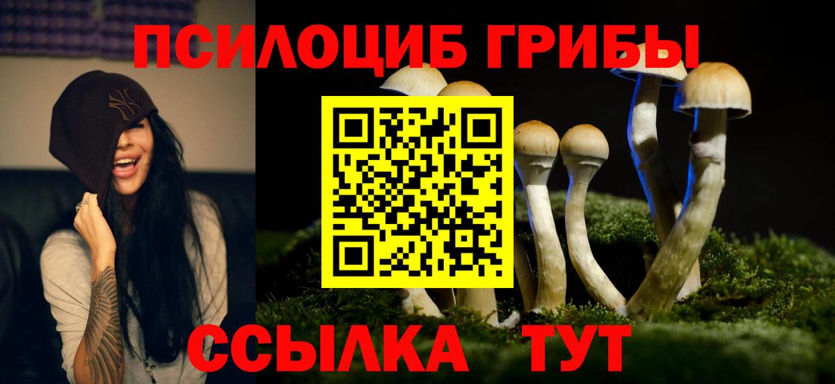 Абинск  Галлюциногенные грибы Psilocybine cubensis  Вход с VPN 